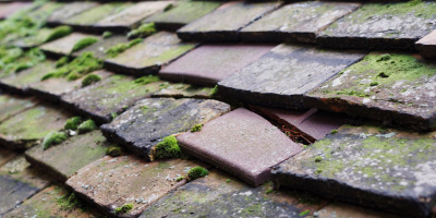 Plaistow roof repair costs